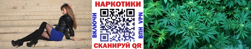 Виды наркотиков купить Байкальск Бошки Шишки  МЕФ  Галлюциногенные грибы  ГАШ  Альфа ПВП 
