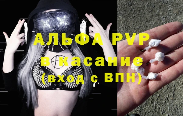 индика Алзамай